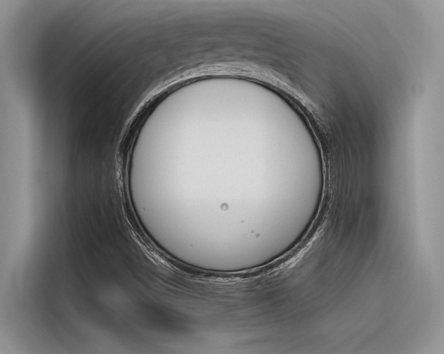 X0000116381498200912020935
