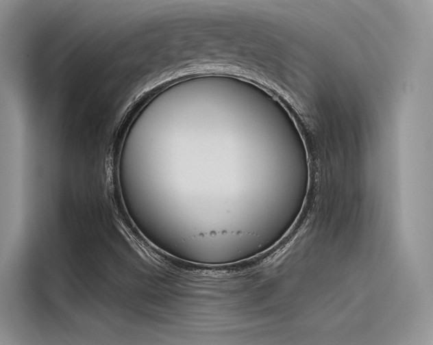 X0000116381499200912020935