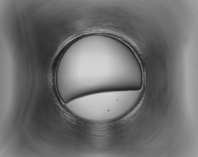 X0000116381501200912020935