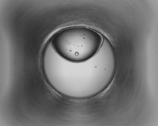 X0000116381502200912020935