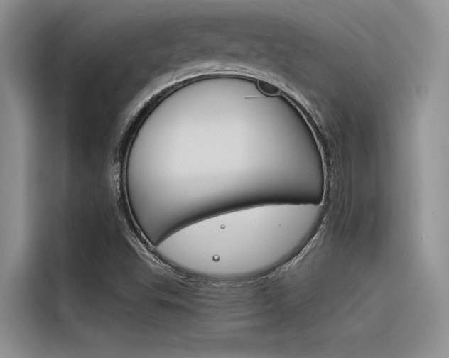 X0000116381503200912020935