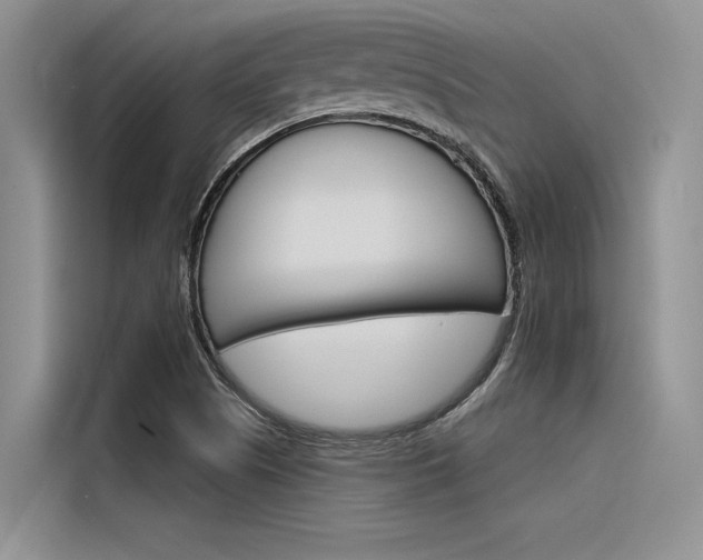 X0000116381505200912020935