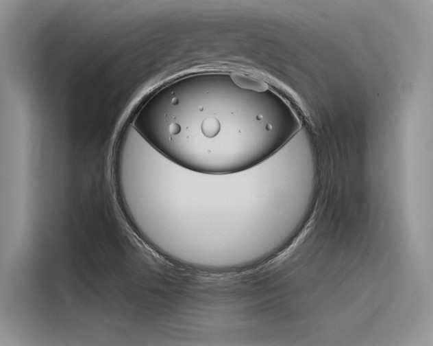 X0000116381506200912020935