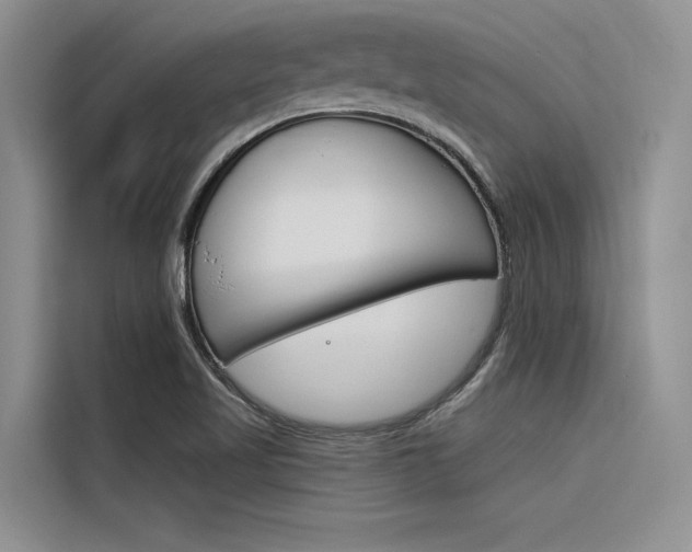 X0000116381509200912020935