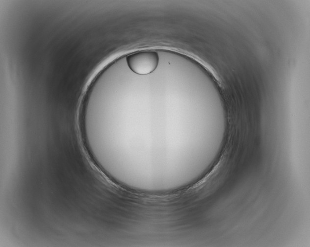 X0000116381510200912020935