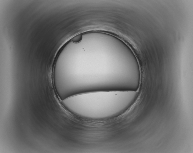 X0000116381513200912020935