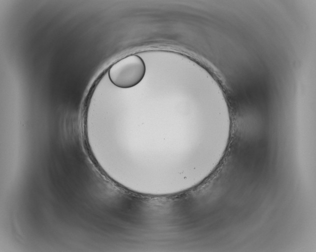 X0000116381514200912020935