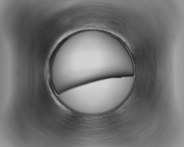 X0000116381515200912020935