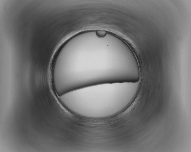X0000116381517200912020935