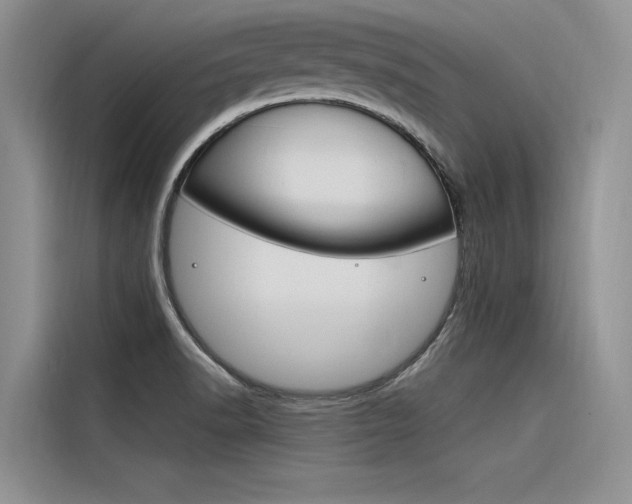 X0000116381518200912020935