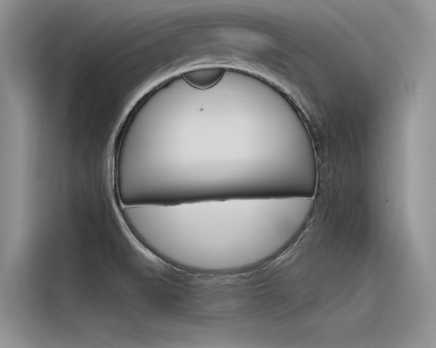 X0000116381519200912020935