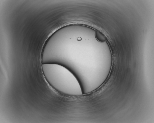 X0000116381521200912020935