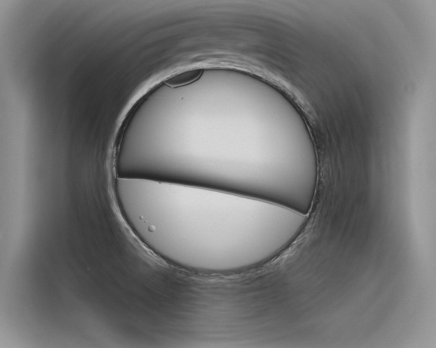 X0000116381522200912020935