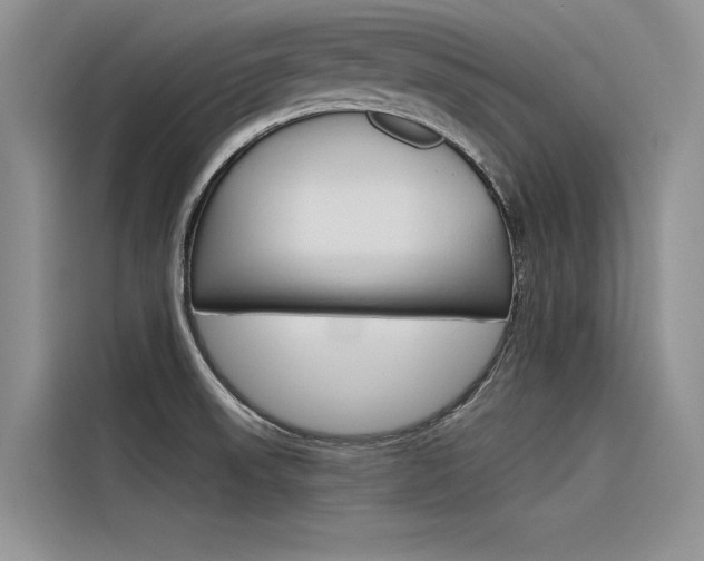 X0000116381523200912020935