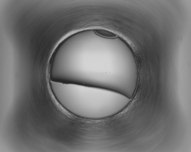 X0000116381526200912020935