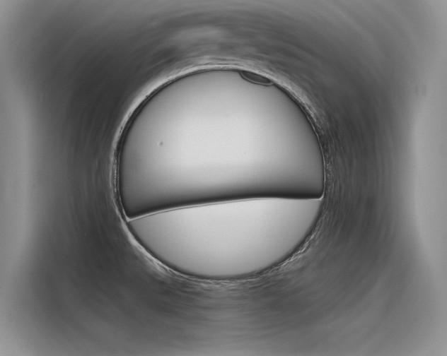 X0000116381527200912020935