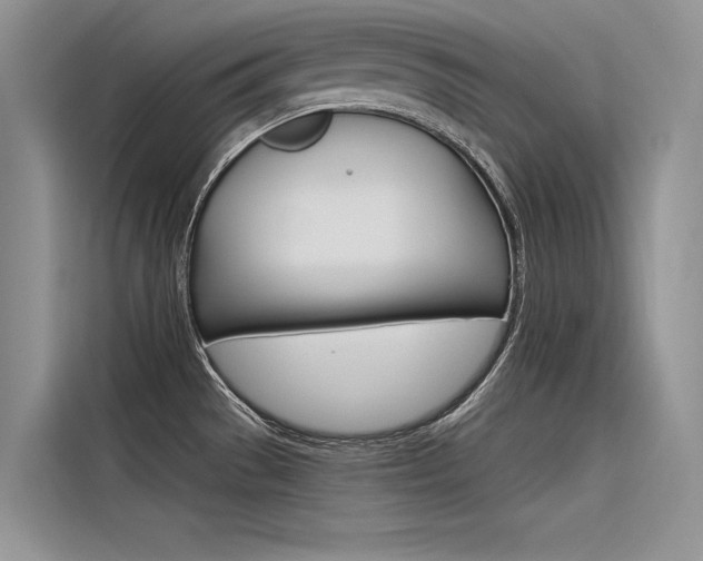 X0000116381529200912020935