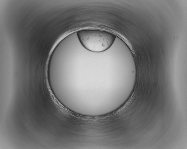 X0000116381530200912020935