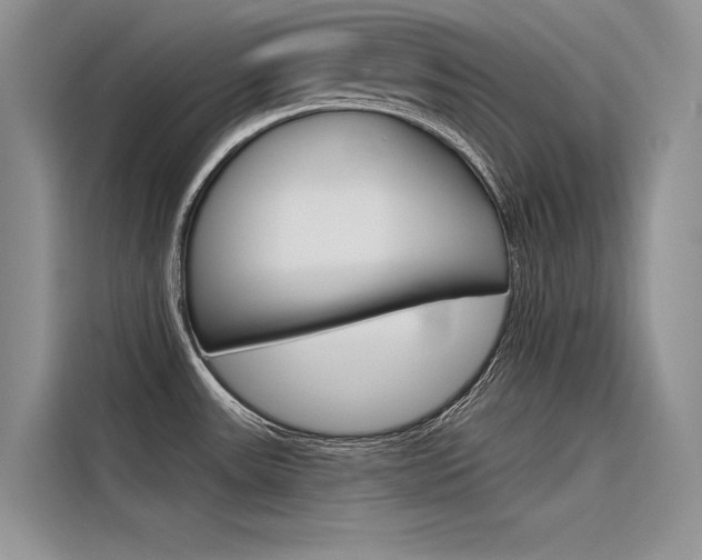 X0000116381531200912020935