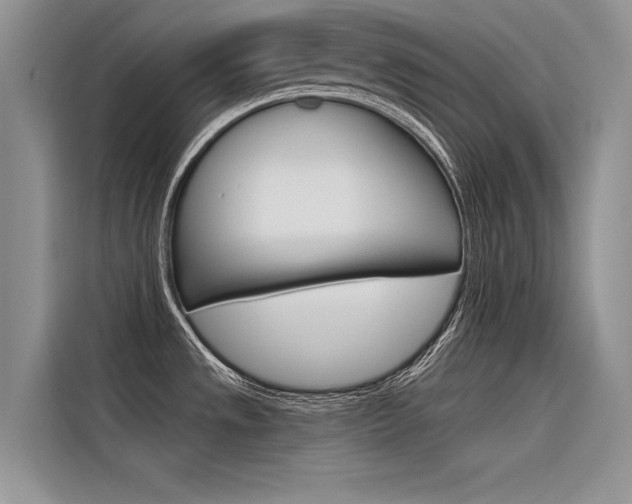 X0000116381533200912020935