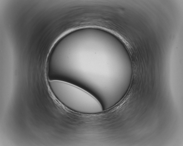 X0000116381534200912020935