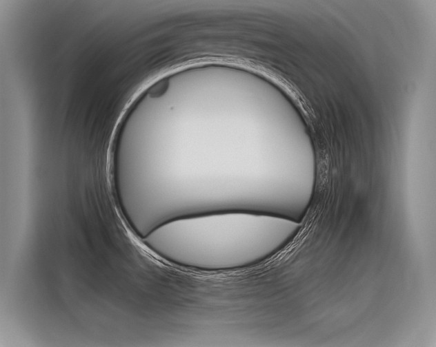 X0000116381535200912020935