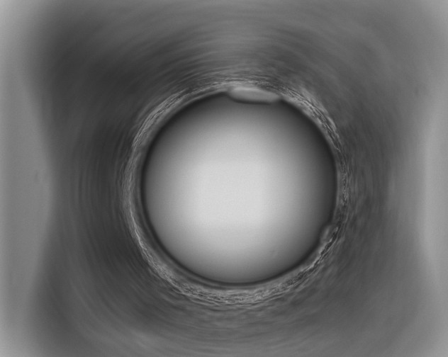 X0000116380001200912021529