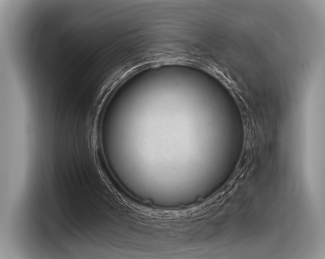 X0000116380002200912021529