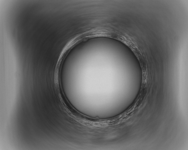X0000116380004200912021529
