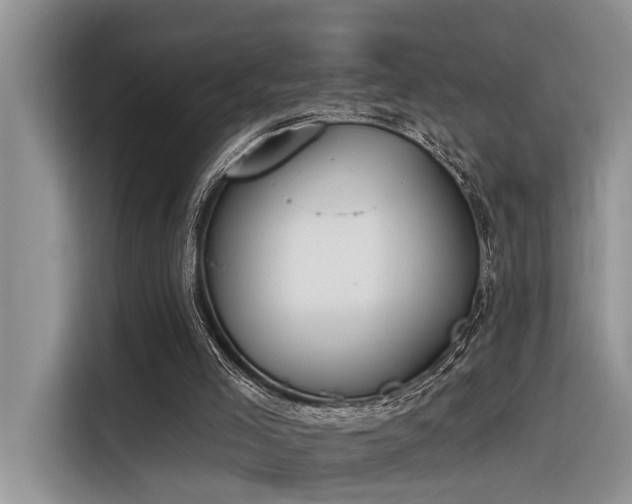 X0000116380005200912021529