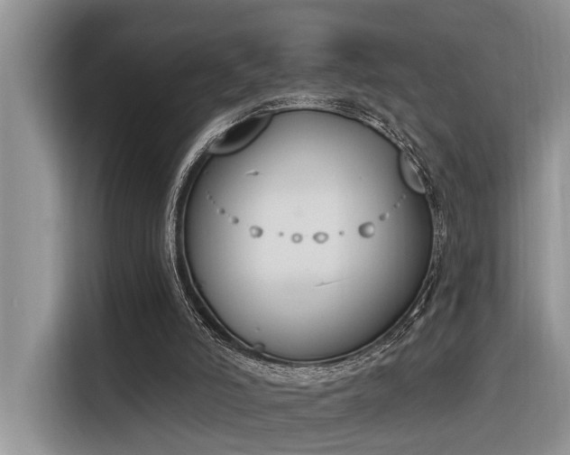 X0000116380006200912021529