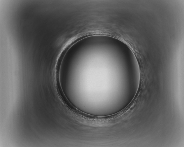 X0000116380008200912021529