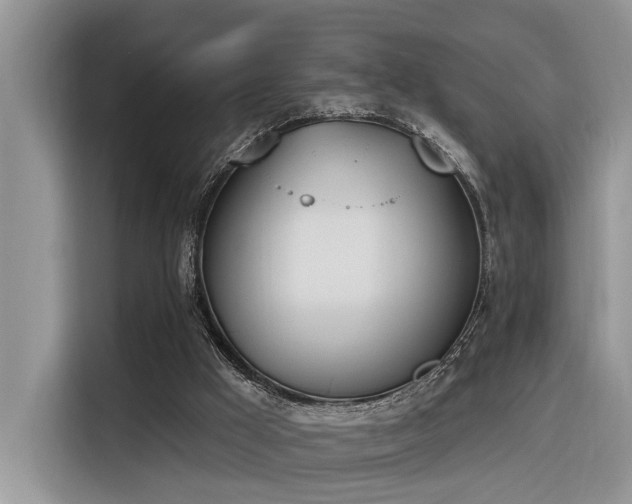 X0000116380009200912021529