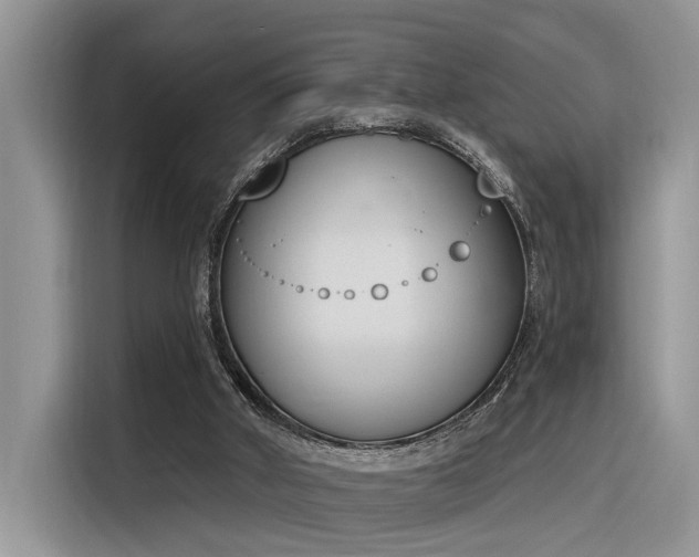 X0000116380010200912021529