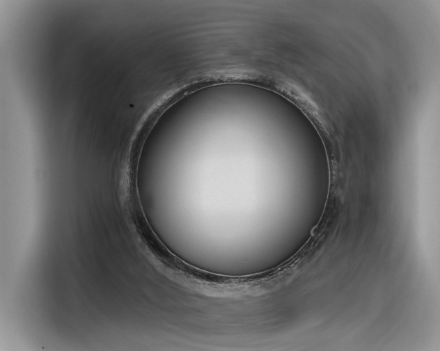 X0000116380012200912021529