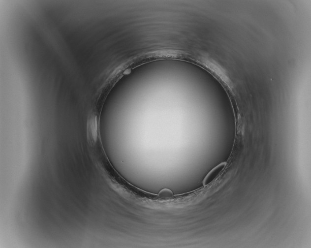 X0000116380013200912021529
