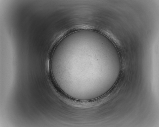 X0000116380014200912021529