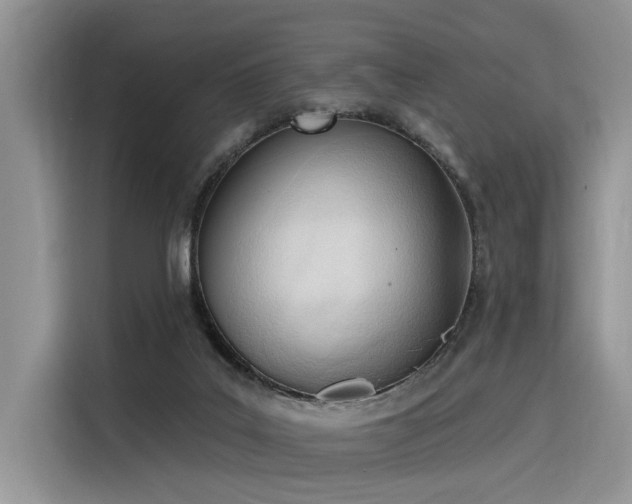 X0000116380019200912021529