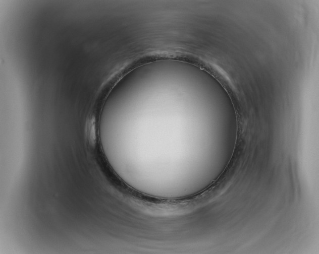 X0000116380020200912021529
