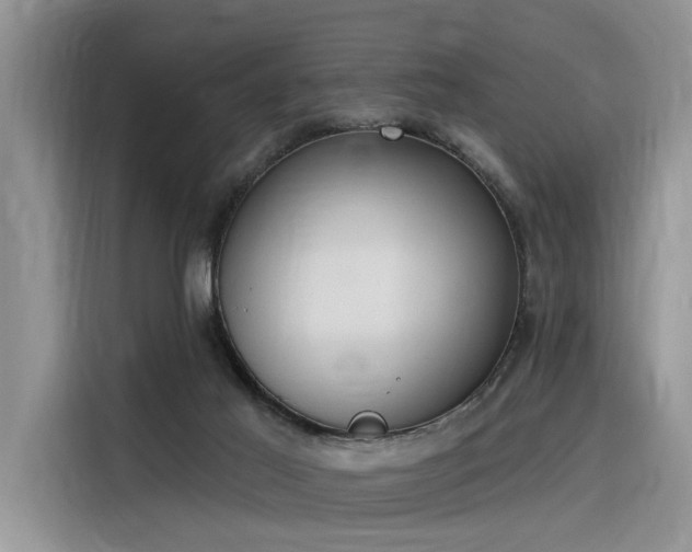 X0000116380021200912021529