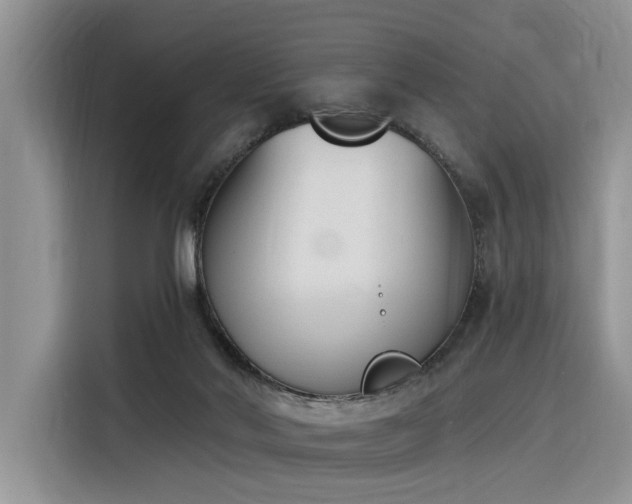 X0000116380022200912021529