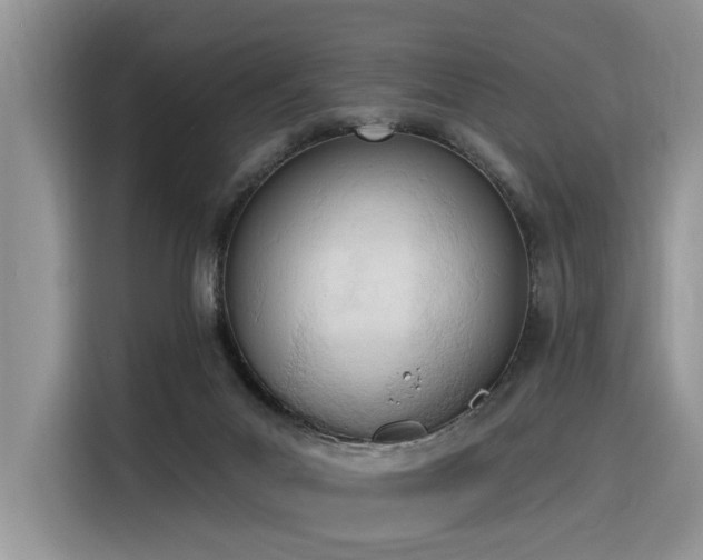 X0000116380023200912021529