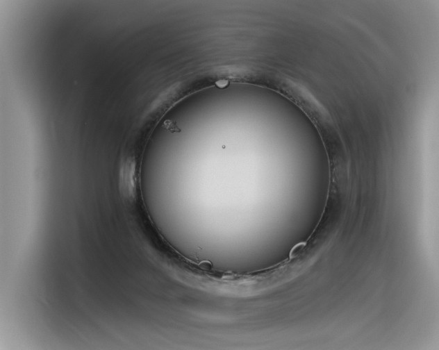 X0000116380024200912021528