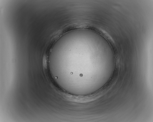 X0000116380026200912021528