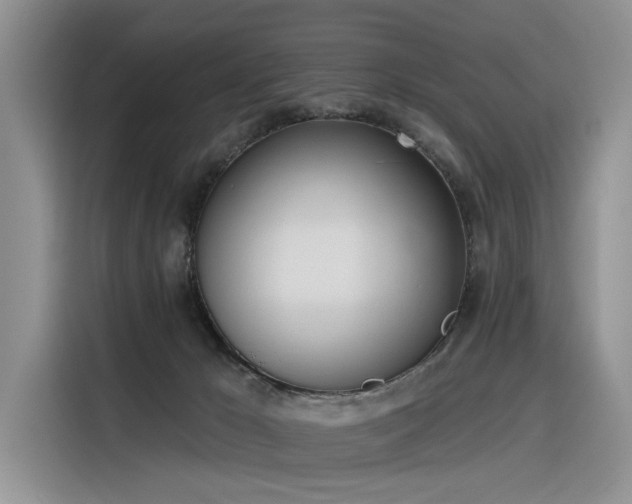 X0000116380029200912021528