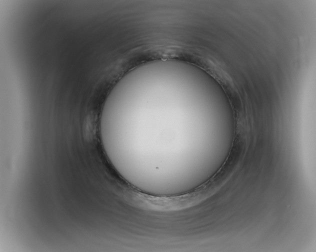 X0000116380030200912021528