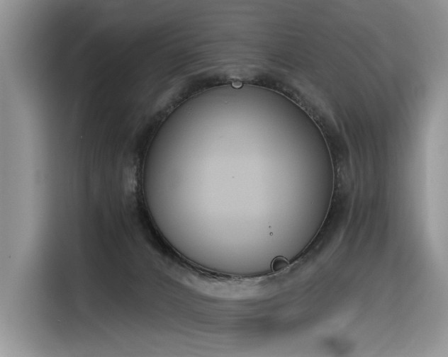 X0000116380032200912021528
