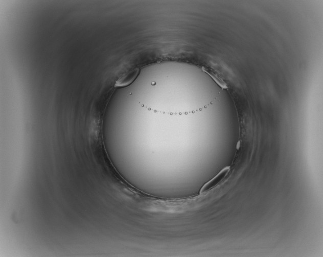 X0000116380033200912021528