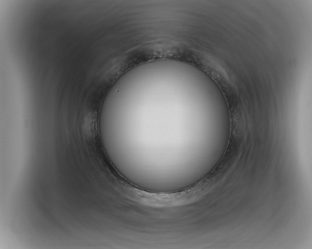 X0000116380034200912021528