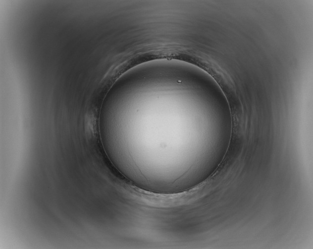 X0000116380035200912021528